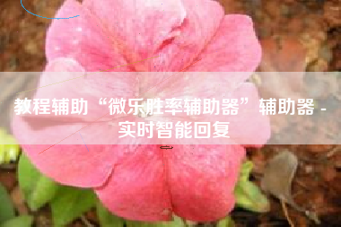 教程辅助“微乐胜率辅助器	”辅助器 - 实时智能回复