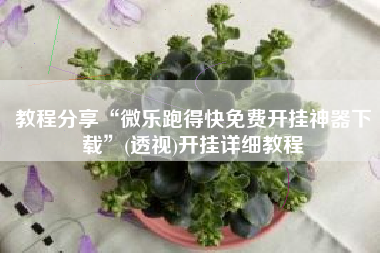 教程分享“微乐跑得快免费开挂神器下载”(透视)开挂详细教程