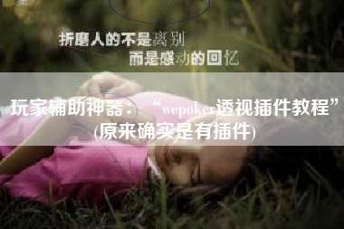 玩家辅助神器：“wepoker透视插件教程”(原来确实是有插件)