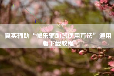 真实辅助“微乐辅助器使用方法”通用版下载教程