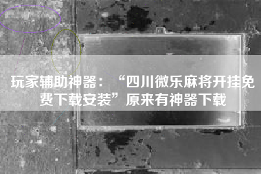 玩家辅助神器：“四川微乐麻将开挂免费下载安装”原来有神器下载