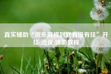 真实辅助“微乐麻将到底有没有挂”开挂(透视)辅助教程
