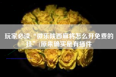 玩家必读“微乐陕西麻将怎么开免费的挂	”(原来确实是有插件