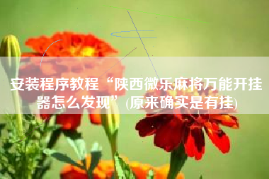 安装程序教程“陕西微乐麻将万能开挂器怎么发现”(原来确实是有挂)