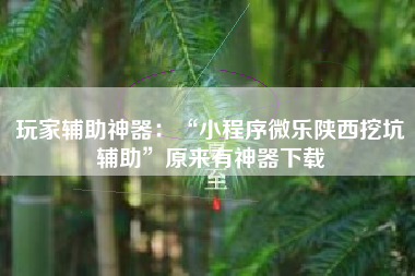 玩家辅助神器：“小程序微乐陕西挖坑辅助”原来有神器下载