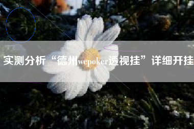 实测分析“德州wepoker透视挂	”详细开挂