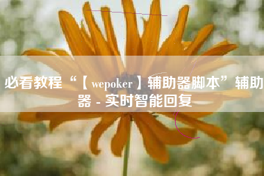 必看教程“【wepoker】辅助器脚本	”辅助器 - 实时智能回复