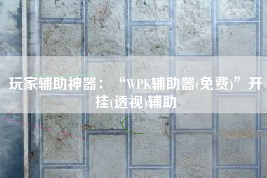 玩家辅助神器：“WPK辅助器(免费)”开挂(透视)辅助