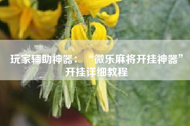 玩家辅助神器：“微乐麻将开挂神器”开挂详细教程