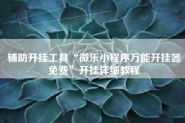 辅助开挂工具“微乐小程序万能开挂器免费”开挂详细教程