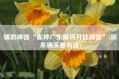辅助神器“雀神广东麻将开挂神器	”(原来确实是有挂)