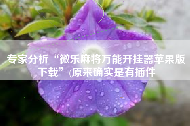 专家分析“微乐麻将万能开挂器苹果版下载	”(原来确实是有插件