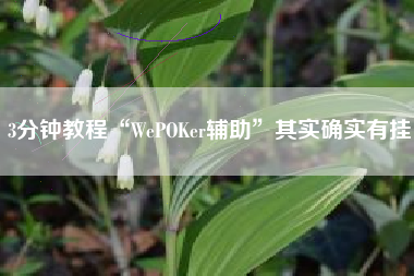 3分钟教程“WePOKer辅助	”其实确实有挂