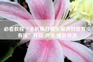 必看教程“手机版打微乐麻将到底有没有挂	”开挂(透视)辅助神器