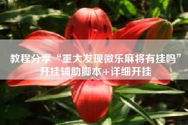 教程分享“重大发现微乐麻将有挂吗”开挂辅助脚本+详细开挂