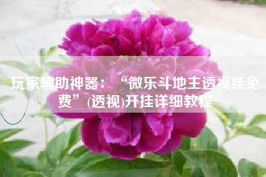 玩家辅助神器：“微乐斗地主透视挂免费	”(透视)开挂详细教程