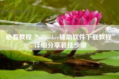 必看教程“we-poker辅助软件下载教程”详细分享装挂步骤