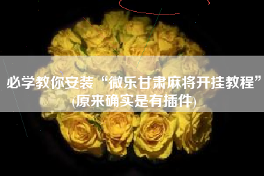 必学教你安装“微乐甘肃麻将开挂教程	”(原来确实是有插件)