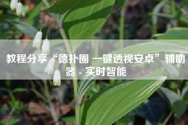 教程分享“德扑圈 一键透视安卓	”辅助器 - 实时智能