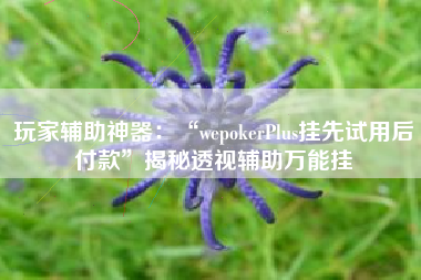 玩家辅助神器：“wepokerPlus挂先试用后付款”揭秘透视辅助万能挂