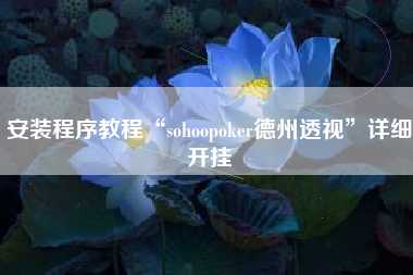 安装程序教程“sohoopoker德州透视”详细开挂