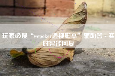 玩家必搜“wepoker透视脚本”辅助器 - 实时智能回复