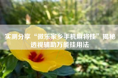 实测分享“微乐家乡手机麻将挂”揭秘透视辅助万能挂用法