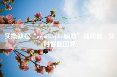 实操教程“wepokerplus辅助”辅助器 - 实时智能回复