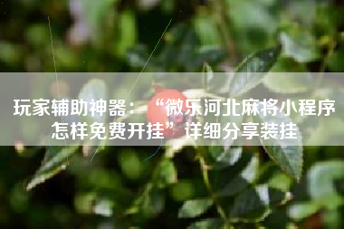 玩家辅助神器：“微乐河北麻将小程序怎样免费开挂”详细分享装挂
