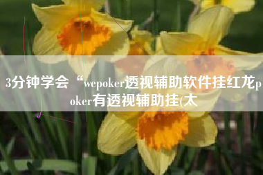 3分钟学会“wepoker透视辅助软件挂红龙poker有透视辅助挂(太 3分钟学会“wepoker透视辅助软件挂红龙poker有透视辅助挂(太