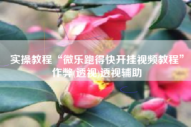 实操教程“微乐跑得快开挂视频教程”作弊(透视)透视辅助