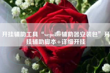 开挂辅助工具“wepoker辅助器安装包”开挂辅助脚本+详细开挂