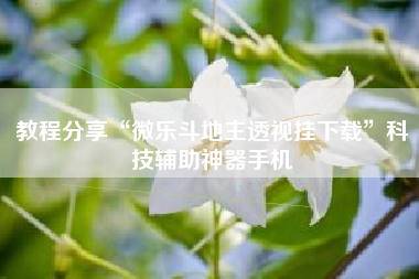 教程分享“微乐斗地主透视挂下载”科技辅助神器手机