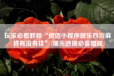 玩家必看教程“微信小程序微乐四川麻将有没有挂”(曝光透视必备猫腻