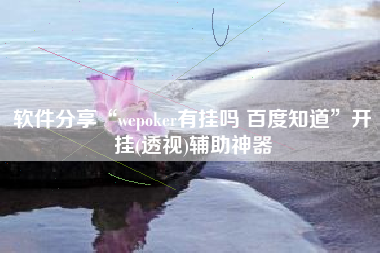 软件分享“wepoker有挂吗 百度知道”开挂(透视)辅助神器