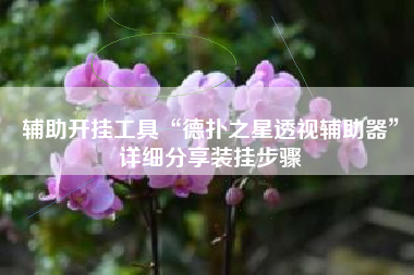 辅助开挂工具“德扑之星透视辅助器	”详细分享装挂步骤