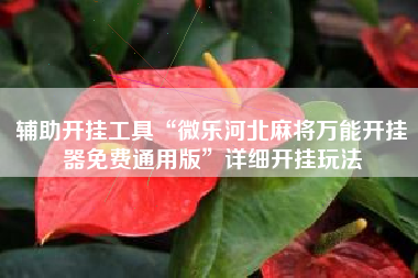 辅助开挂工具“微乐河北麻将万能开挂器免费通用版”详细开挂玩法