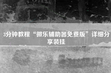 3分钟教程“微乐辅助器免费版”详细分享装挂