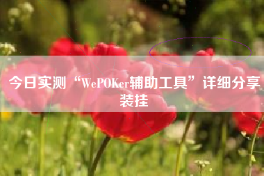 今日实测“WePOKer辅助工具	”详细分享装挂