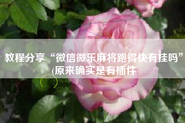 教程分享“微信微乐麻将跑得快有挂吗”(原来确实是有插件