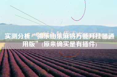 实测分析“微乐山东麻将万能开挂器通用版”(原来确实是有插件)