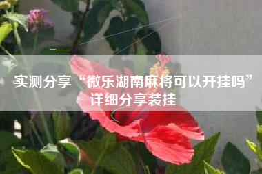 实测分享“微乐湖南麻将可以开挂吗”详细分享装挂