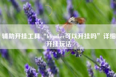 辅助开挂工具“hhpoker可以开挂吗	”详细开挂玩法