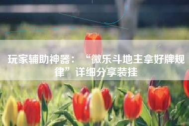 玩家辅助神器：“微乐斗地主拿好牌规律”详细分享装挂