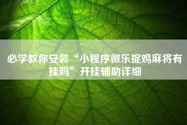 必学教你安装“小程序微乐捉鸡麻将有挂吗”开挂辅助详细