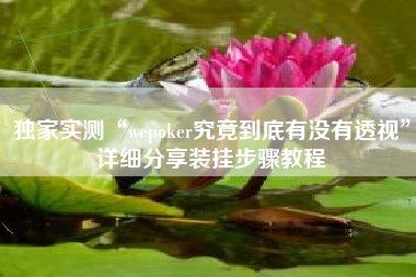独家实测“wepoker究竟到底有没有透视”详细分享装挂步骤教程