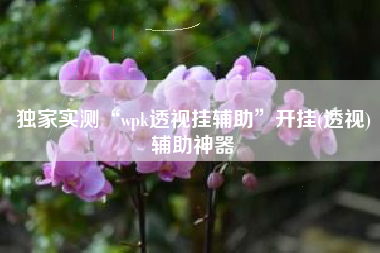 独家实测“wpk透视挂辅助”开挂(透视)辅助神器