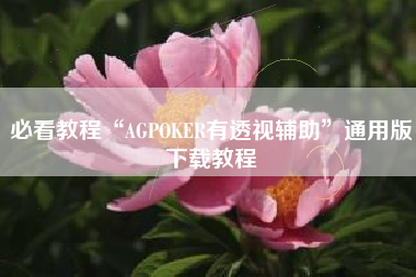 必看教程“AGPOKER有透视辅助”通用版下载教程