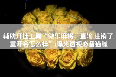 辅助开挂工具“微乐麻将一直输,注销了,重开会怎么样	”(曝光透视必备猫腻