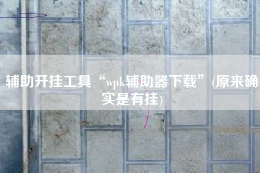 辅助开挂工具“wpk辅助器下载	”(原来确实是有挂)